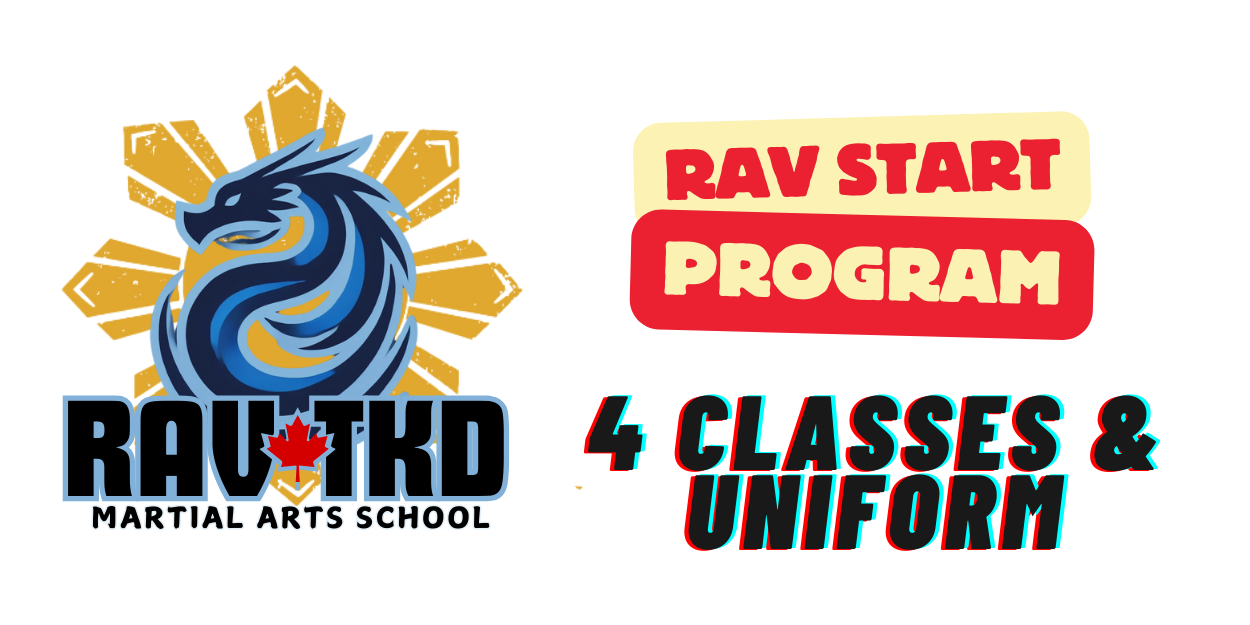 RAV Start Program Image